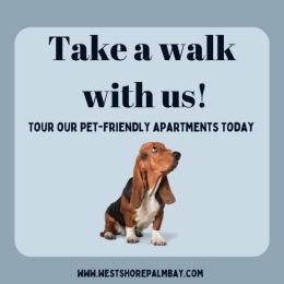 Looking for a pet-friendly apartment? 🏡 We've got you covered! Call us today to schedule a tour! #PetFriendlyLiving #ApartmentGoals Instagram post from @westshorepalmbay on July 21, 2024 08:11:16am